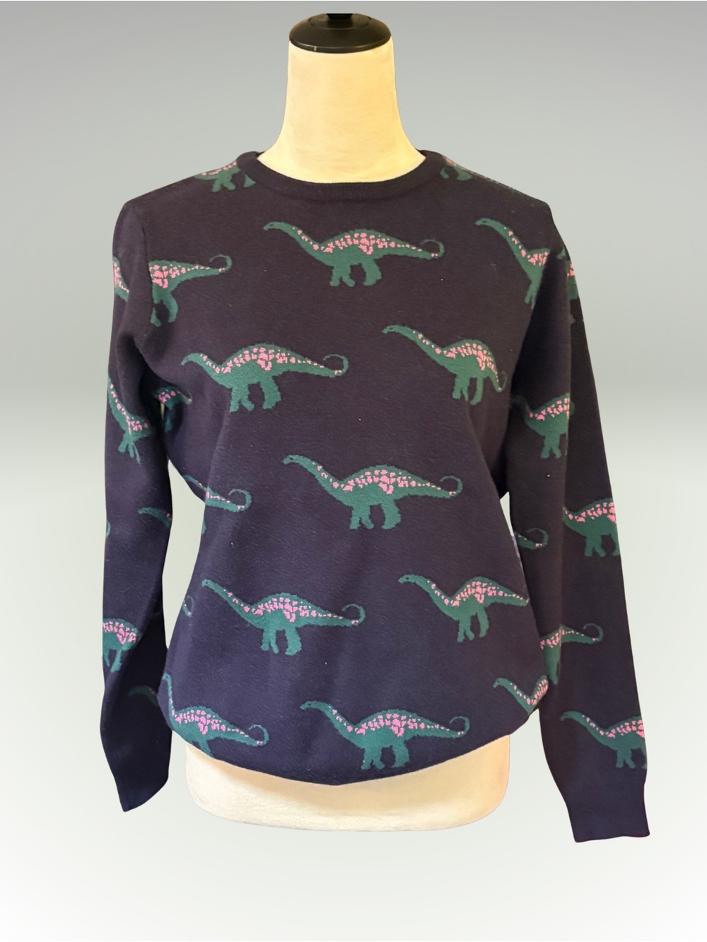Sugarhill Brighton Dinosaur Pattern Sweater